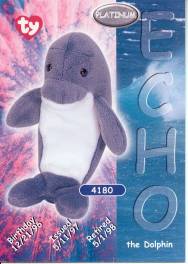 Echo Card